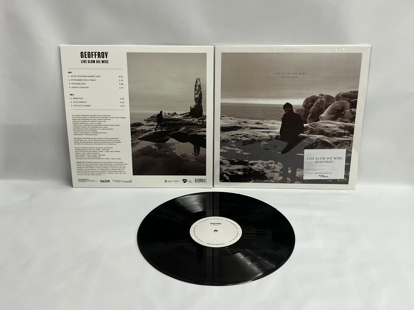 Geoffroy - Live Slow Die Wise (Vinyle)