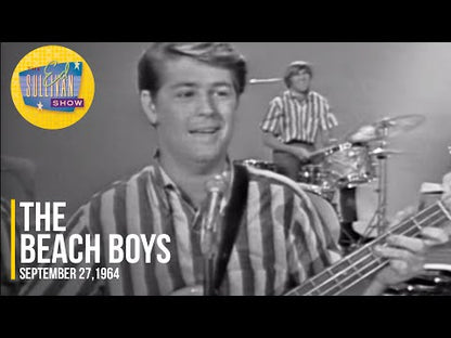 The Beach Boys - Early Tracks LP