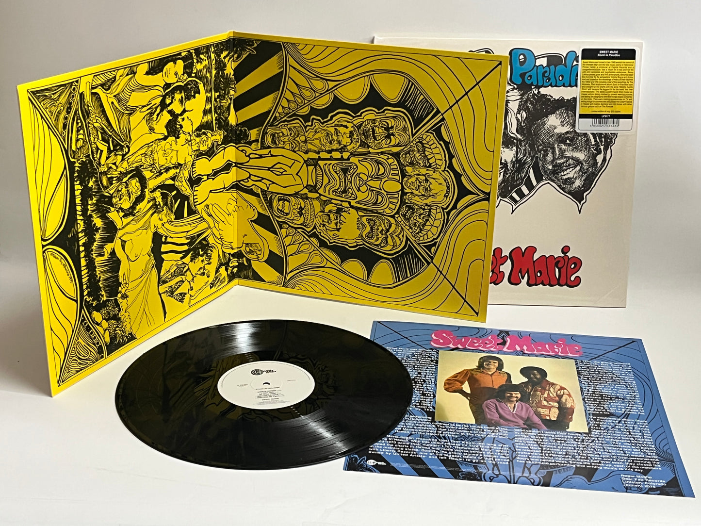 The Sweet Marie -Stuck in Paradise (LP)